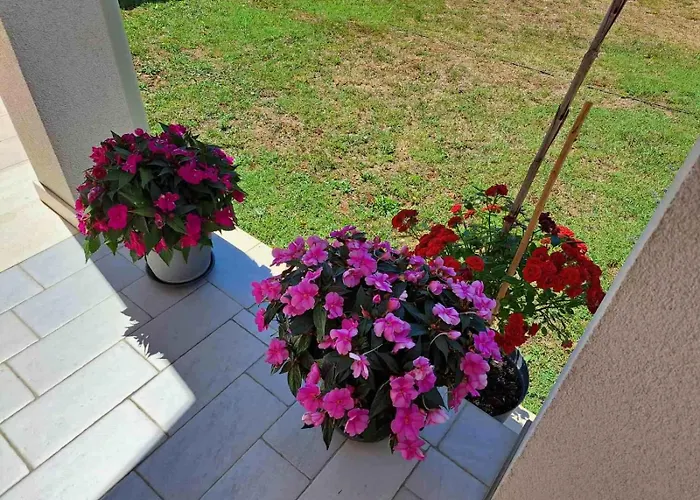 Apartmani Danica