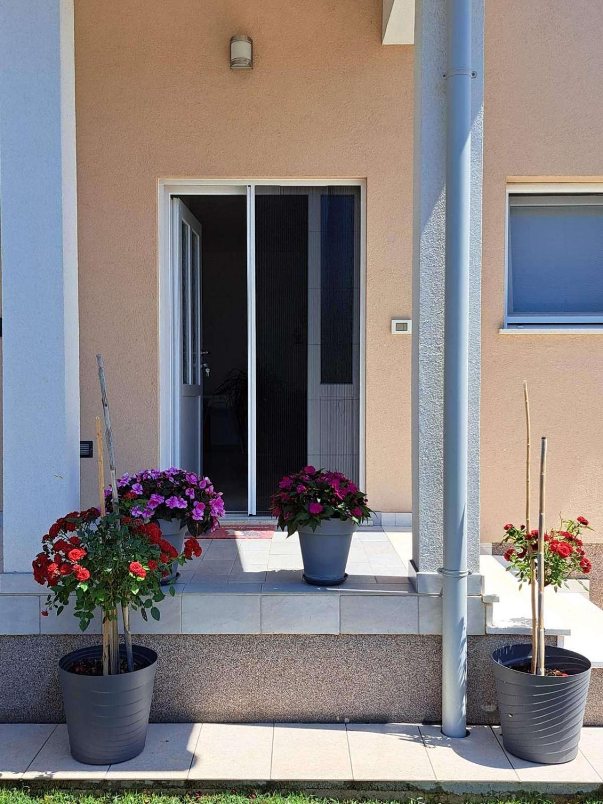 Apartmán Danica
